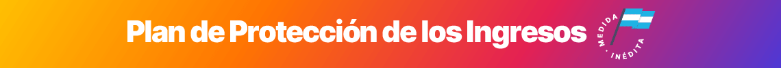 Plan protenccion de los ingresos